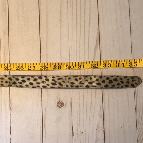 Express Animal Print Leather Belt - Picture 6 of 6